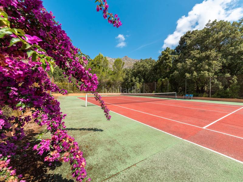 Foto 4cb698a5-bf20-456d-b160-e7f00f0f1efe. Alquiler masía en Pollença poble Pollença