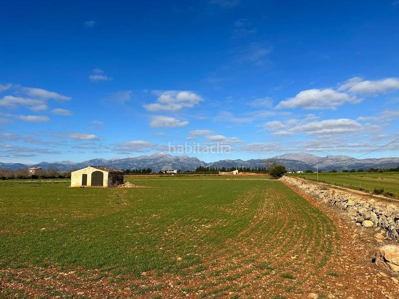 Foto b20296fc-3928-474d-bba7-1596c09b7c5e. Propriété dans Sa Pobla