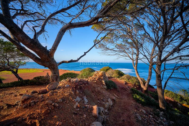 Foto 4c9713c1-3885-4778-8536-211b0db6b08c. Casa aparellada a Banyalbufar