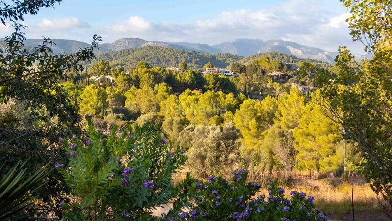 Foto 3c43bdce-5e41-4db1-b4b9-1e83e50f299f. Bauernhof mit pool in Establiments Palma de Mallorca