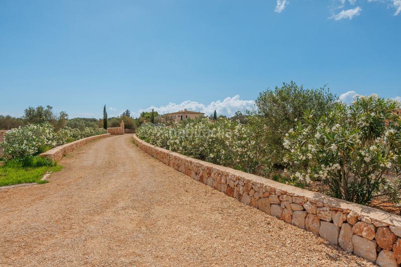 Foto 4c1a3deb-1649-427b-9d31-620e7cf2ab8b. Mas avec piscine dans Santanyí poble Santanyí