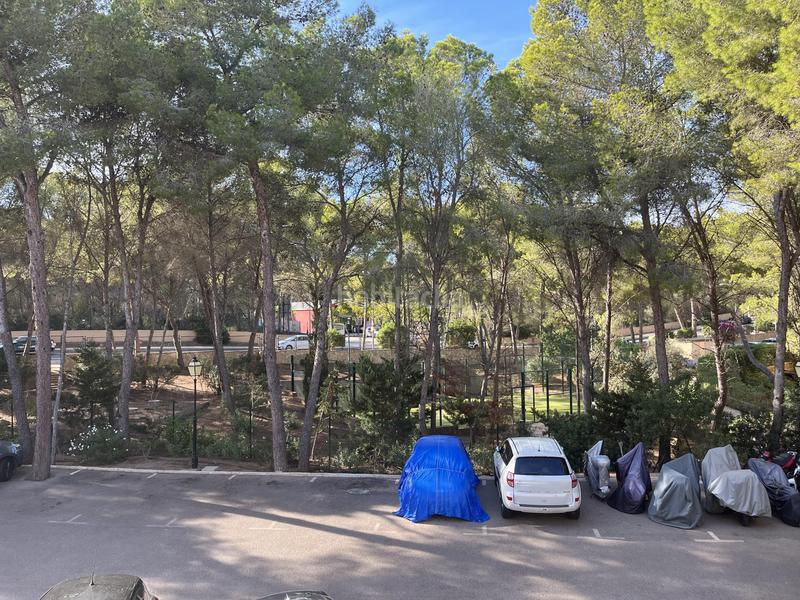 Foto 218a240a-88be-4ec9-9e72-7ecc7fbeeb94. Apartment with pool in Sol de Mallorca Calvià