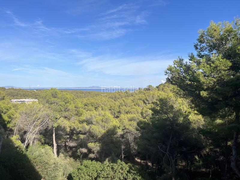 Foto 81affa0a-c309-43cc-9265-90d43d3592c9. Apartment with pool in Sol de Mallorca Calvià