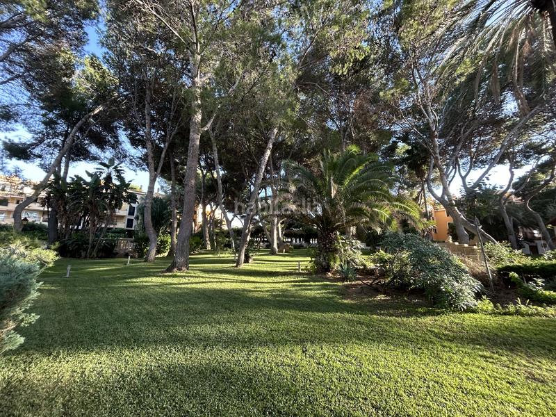 Foto 773a5f14-ef8d-42bc-83b3-f0af71aacbcf. Rent apartment with pool in Santa Ponça Calvià