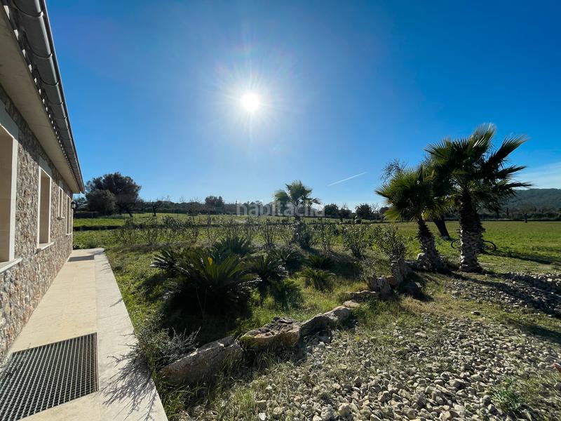 Foto 5f371c30-9349-4818-83d7-3615ae7d6464. Affitto casa bifamiliare in Pollença poble Pollença