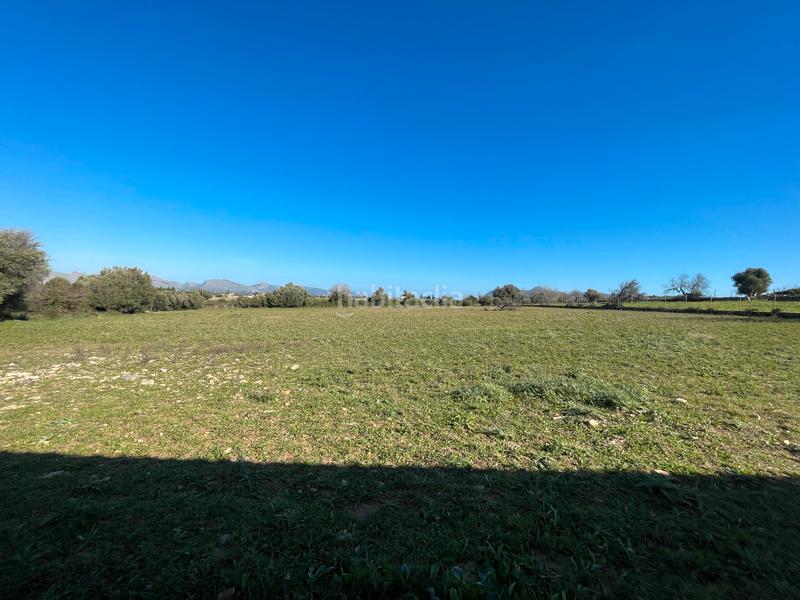 Foto 0f59cd55-3dec-4dc9-9422-7d1744fb81b7. Location maison jumelée dans Pollença poble Pollença