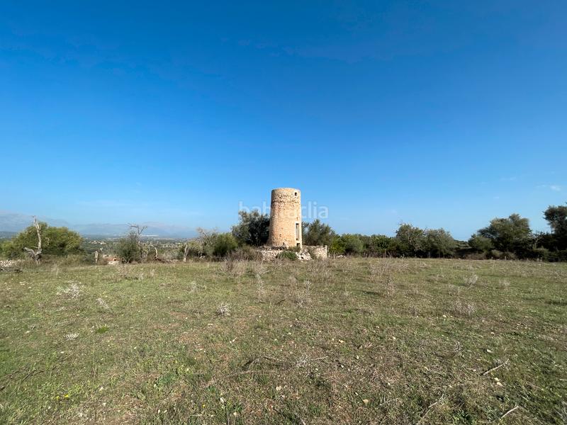 Foto 73384ec1-a1dd-42c3-ac97-8b07ac4fa5fa. Fondo rustico in Llubí