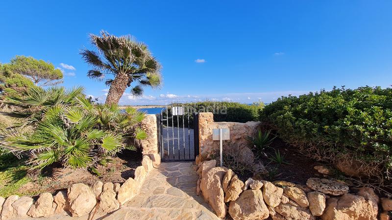 Foto dc6d166b-adf8-4164-a0c9-2a59d75b94f6. Affitto piccolo appartamento con piscina in Cala Pi-Vallgornera Llucmajor