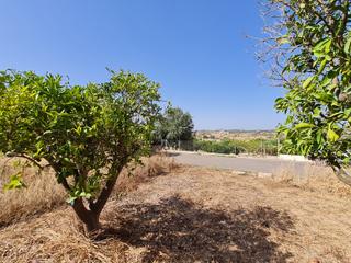 Rural plot in Santa Margalida Poble. Bonito terreno con proyecto en santa margalida