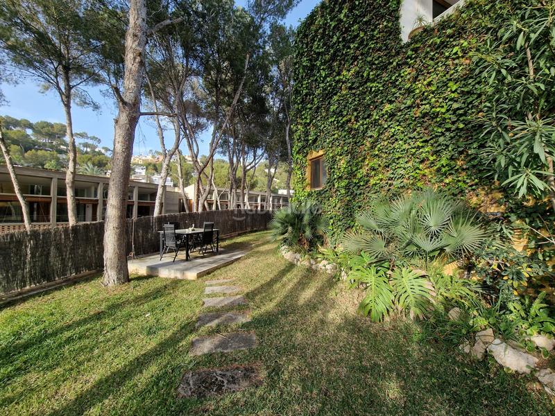 Foto 3bab04b1-a3ec-4df9-a39d-a9d1ca71aa32. Affitto casa bifamiliare in Costa de la Calma Calvià
