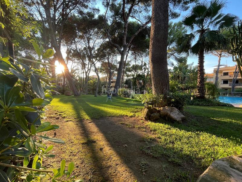 Foto 5ef2db15-d3e3-435d-8d78-653d4394dcf7. Alquiler apartamento coqueto piso situado en la conocida urbanización ambassador park. en Calvià