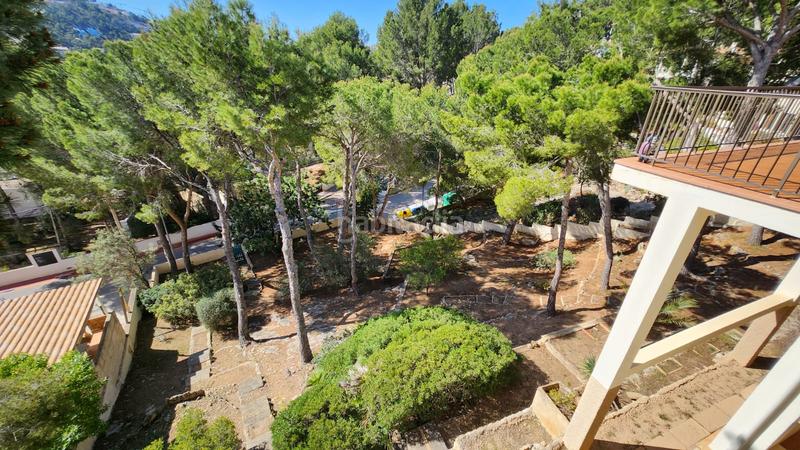 Foto db1c0907-9d14-4b44-8172-1312f009bf54. Affitto casa bifamiliare in port d´Andratx Andratx