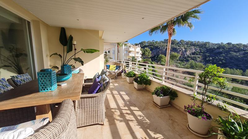 Foto 2353246e-1ba5-40c9-85e1-e987895868d4. Apartament amb piscina a Cas Català-Illetes Calvià