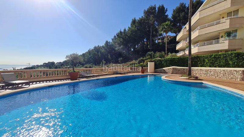 Foto 4c850eb6-19ab-4b51-9bb2-949e89b2821d. Apartament amb piscina a Cas Català-Illetes Calvià