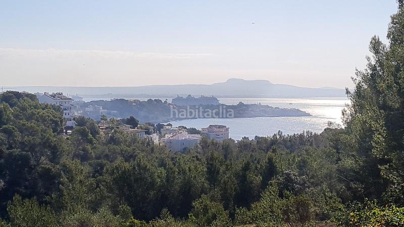 Foto 9d6fdfdf-8948-4151-8268-b8d387fc8151. Apartament amb piscina a Cas Català-Illetes Calvià