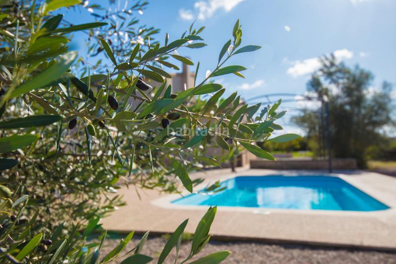 Foto 5f267383-ef3e-4815-b990-57a3396e32c6. Location mas avec piscine dans Algaida