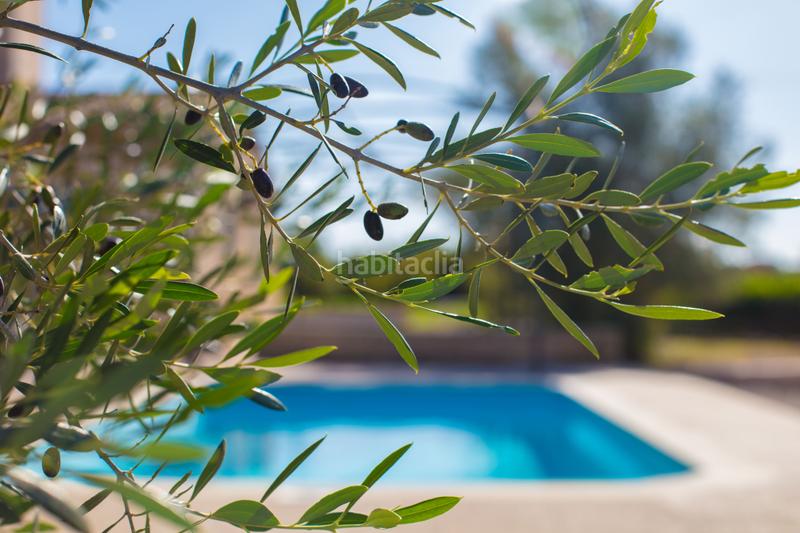 Foto a0471bde-9231-4b61-9945-27efa42b9ab6. Lloguer masia amb piscina a Algaida