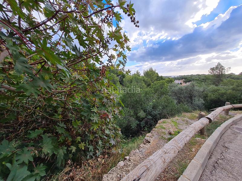 Foto 87690b9b-ea93-4bfd-ad9b-a974940f267d. Fondo rustico in Portals Nous Calvià