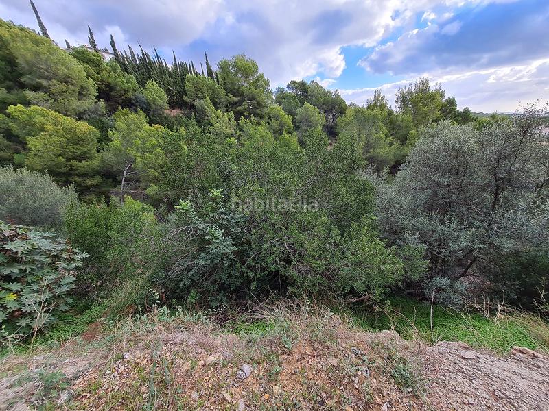 Foto eae470a4-aab0-4065-802d-f8add54e6065. Fondo rustico in Portals Nous Calvià