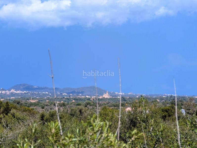 Foto 4bc956c8-4de6-4f07-92d0-ea93e6687f92. Finca rústica a Santanyí poble Santanyí