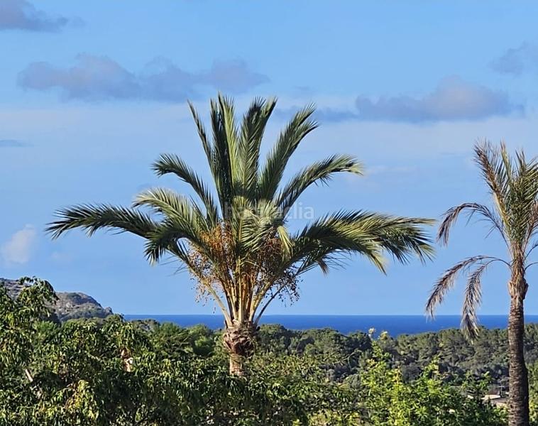 Foto 46ea8502-4bf7-483b-8123-8ba61586c5aa. Miete chalet in Capdepera poble Capdepera