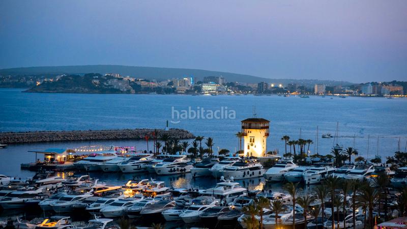 Foto 82b15745-4a08-41d1-b553-3128f035705a. Piccolo appartamento con piscina in Portals Nous Calvià