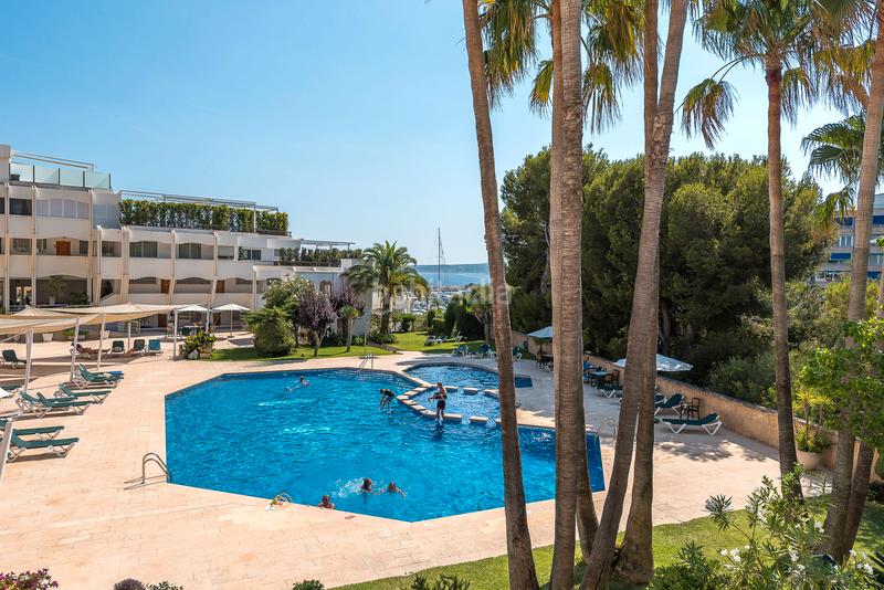 Foto c6a36535-6369-4d36-bd4c-443ff902304e. Piccolo appartamento con piscina in Portals Nous Calvià