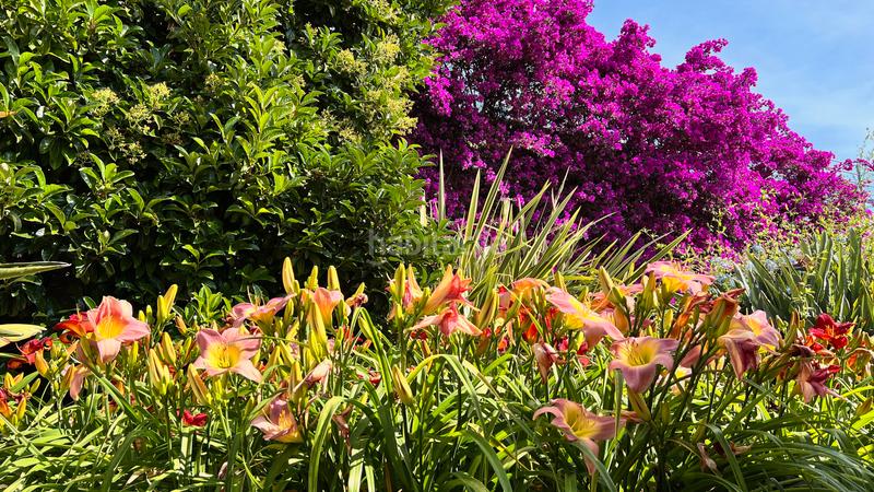 Foto 67b0065f-7156-41c8-9057-bbadf0a2df47. Chalet exclusiva villa de lujo con vistas al mar en una ubicación privilegiada en el campo de golf de pollensa en Pollença