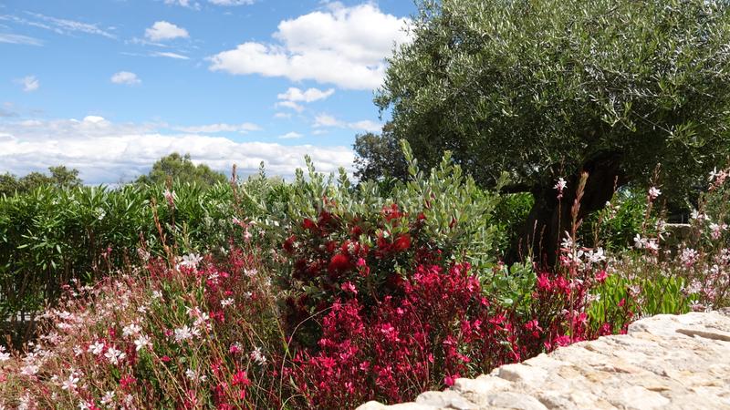 Foto b443671a-9d27-427c-a80b-221a32bee062. Chalet exclusiva villa de lujo con vistas al mar en una ubicación privilegiada en el campo de golf de pollensa en Pollença