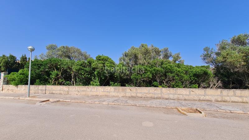 Foto 2189061e-feb1-4f8b-a943-5859f46357cb. Finca rústica a S´Estanyol Llucmajor