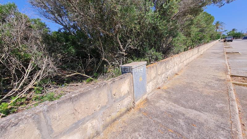 Foto 4ce0c7b2-15db-4a3e-98fd-26d0b620493d. Finca rústica a S´Estanyol Llucmajor