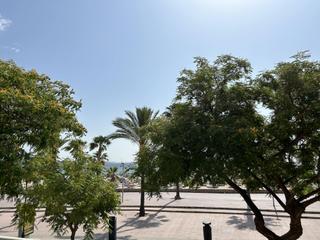 Rent Apartment in Palmanova