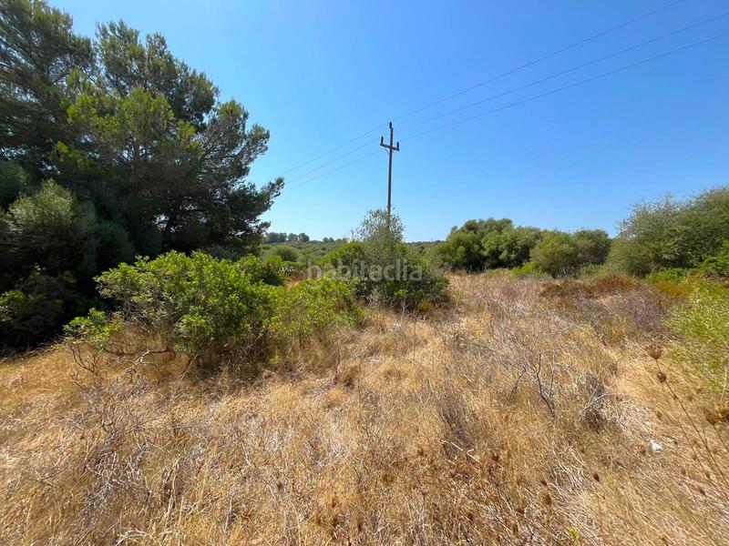 Foto 668705c6-601f-493d-b668-9a0f8eeb4268. Finca rústica a Cala Magrana-Cala Anguila-Cala Mendia Manacor