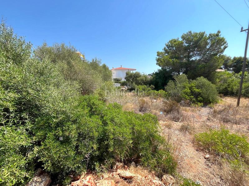 Foto d0d7facf-dddb-4de7-a351-b4216aeb5a1d. Finca rústica a Cala Magrana-Cala Anguila-Cala Mendia Manacor