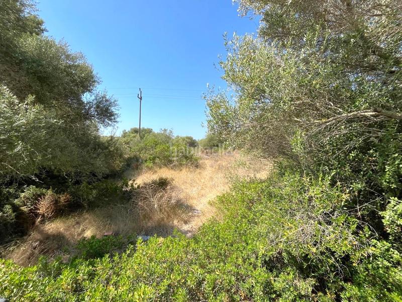 Foto ff474696-e219-4025-9263-f7d3d937bfc9. Finca rústica a Cala Magrana-Cala Anguila-Cala Mendia Manacor