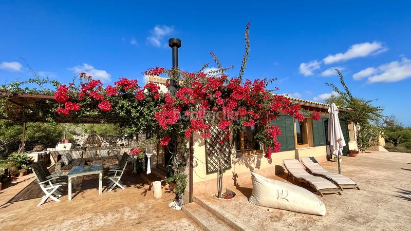 Foto 5ebe48ac-1f63-4155-ab88-ed9add701040. Location mas avec piscine dans Santa Margalida poble Santa Margalida