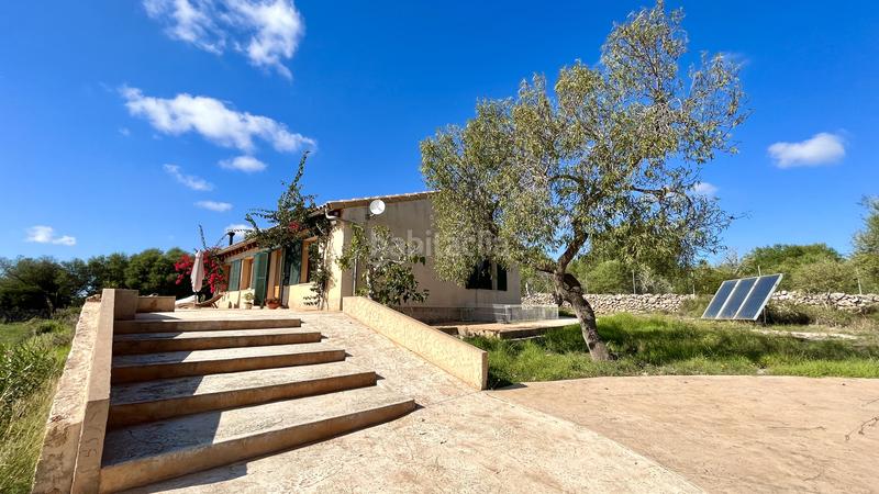 Foto 7daec93b-12a5-4e06-ba11-e30b0e3fd7d7. Alquiler masía en Santa Margalida poble Santa Margalida