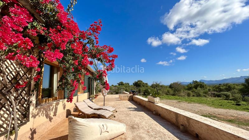 Foto 8587ae27-7cae-4f60-8b11-cbd31e001201. Alquiler masía en Santa Margalida poble Santa Margalida