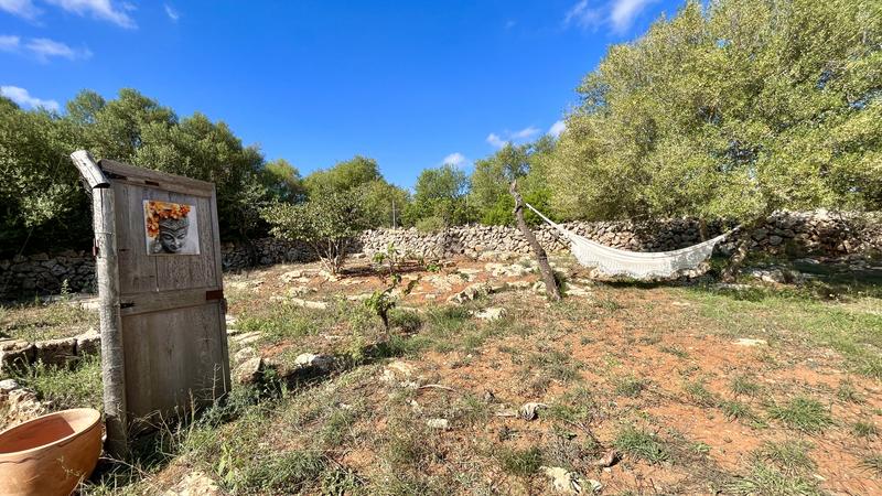 Foto 9647867c-1fc5-4b5b-abc2-363ff9dc186f. Lloguer masia amb piscina a Santa Margalida poble Santa Margalida