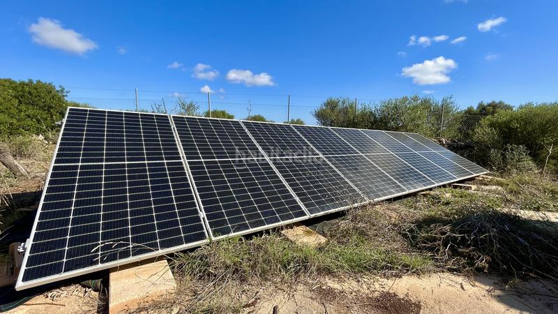 Foto d4cb236d-6f02-4152-a3e8-bfd0a1b79971. Lloguer masia amb piscina a Santa Margalida poble Santa Margalida