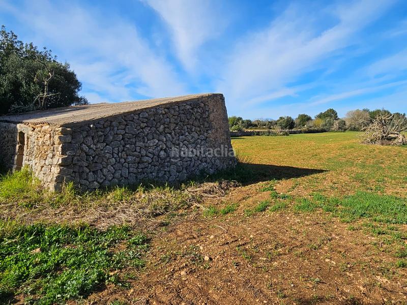 Foto d7a01d49-85cd-457a-ba2a-aed7a3d7d48b. Propriété dans Manacor centre Manacor