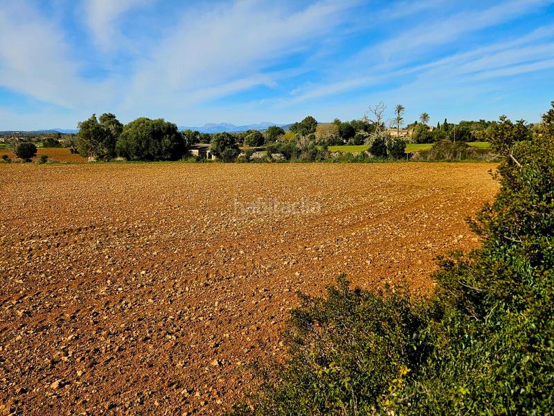 Foto f0af0c98-0f74-4303-a935-20d9f9d60c56. Propriété dans Manacor centre Manacor