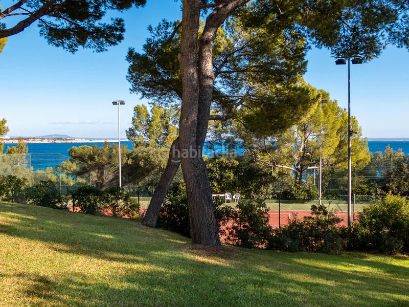 Foto 65f89891-a93f-43fe-bec4-7169a0bcb97d. Alquiler apartamento en Cas Català-Illetes Calvià