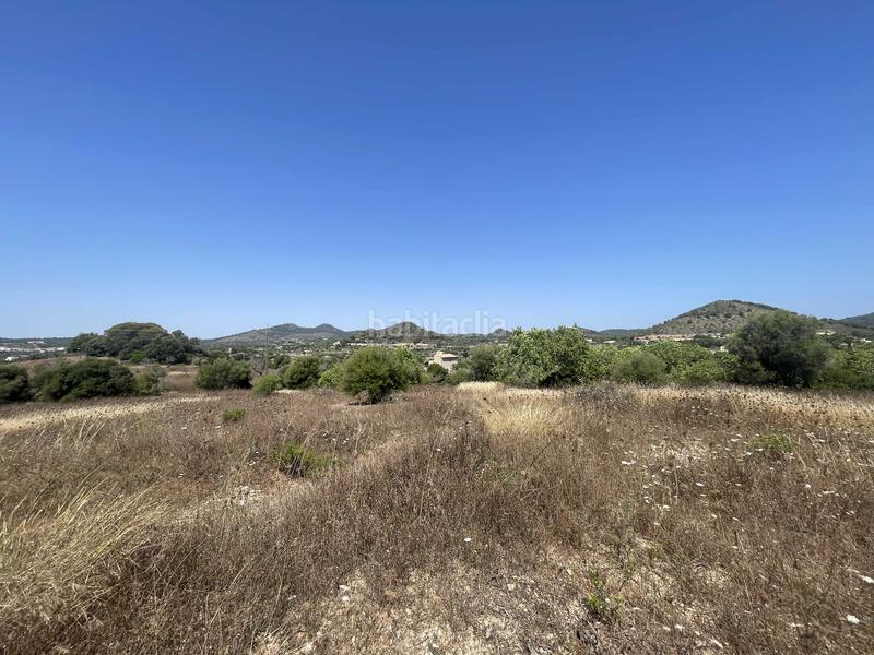 Foto 500c30cc-4e10-4a05-b5a4-be6e3b98289c. Finca rústica a Zona d´Interior Son Servera