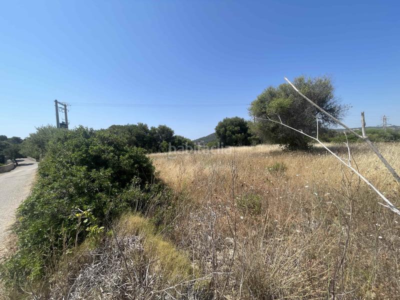 Foto c9598d09-f790-4cf6-b511-cff150099a1c. Finca rústica a Zona d´Interior Son Servera