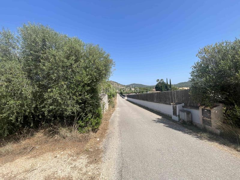 Foto e2626006-1f70-4cb2-b027-268e9e9087e5. Finca rústica a Zona d´Interior Son Servera