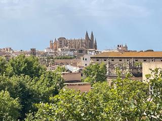 Rent Apartment in Plaça dels Patins