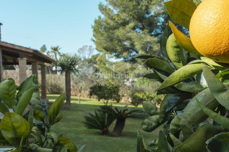 Foto a851e5e3-f63e-48e7-b8f7-5c0a8a094170. Rent chalet in Santa Ponça Calvià