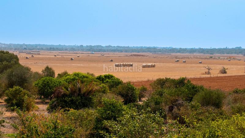 Foto dc12502d-bfe7-4a01-a3af-a5e9c914c799. Masia amb piscina a Es Llombards Santanyí