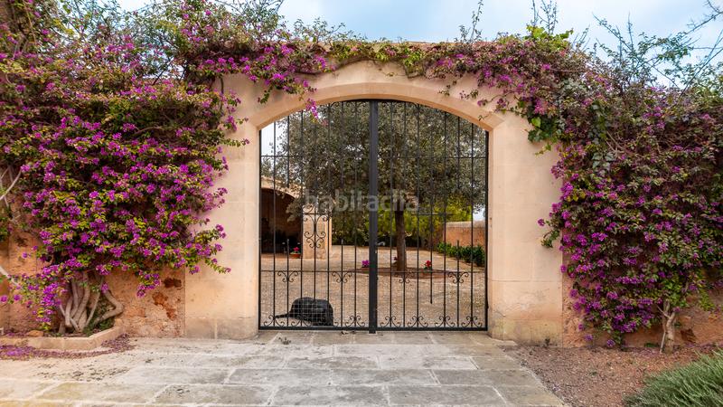 Foto 0b6bc3eb-21a4-42ff-b4c5-b4202085c15b. Affitto casale con piscina in Campos